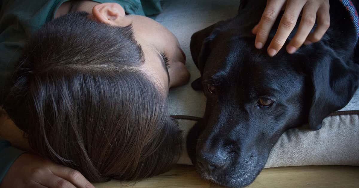 5-ways-to-help-your-child-cope-with-the-death-of-a-pet-noncount